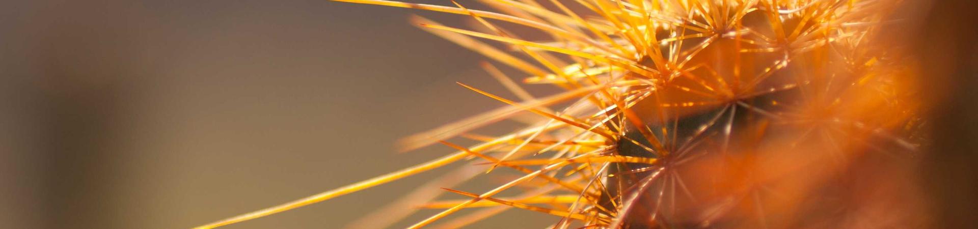 沈阳速康达护送救援服务有限公司 &middot; 保山运营中心